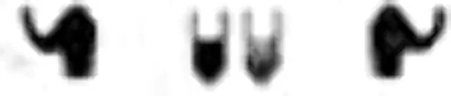 2026_06_20_1120038